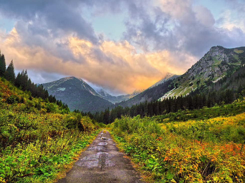 Bear Watching on bicycles