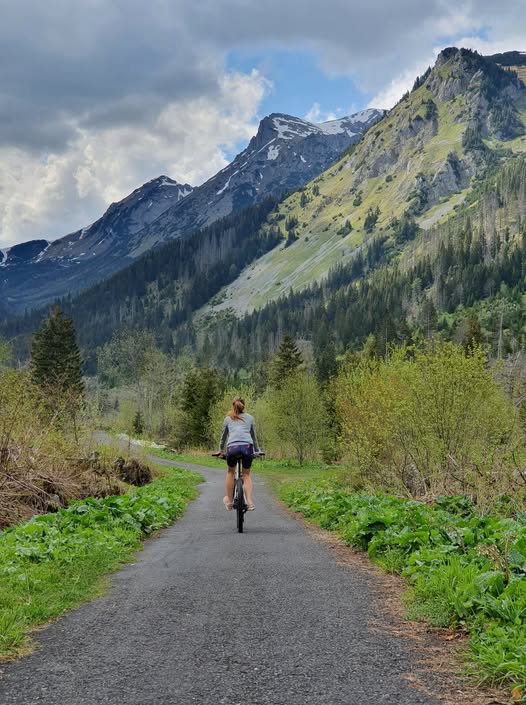 Bear Watching on bicycles