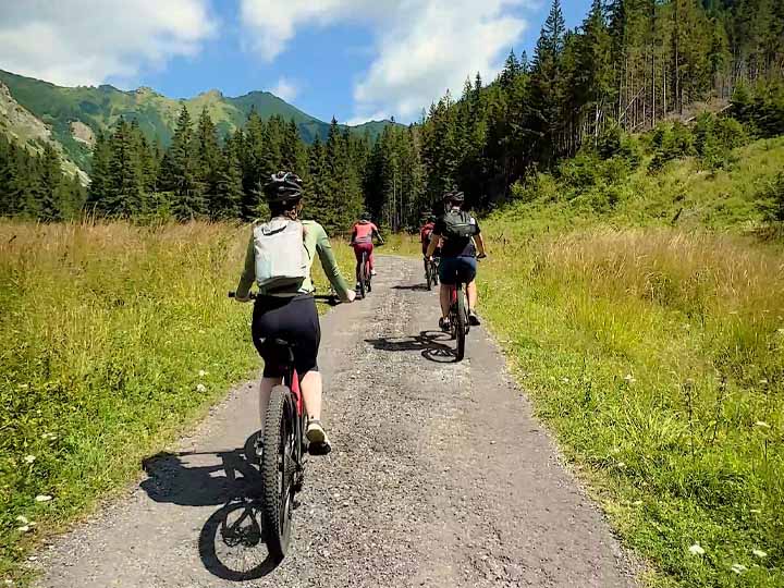 Bear Watching on bicycles
